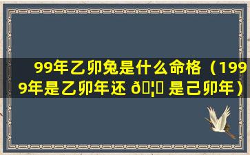 99年乙卯兔是什么命格（1999年是乙卯年还 🦄 是己卯年）